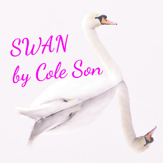 Swan by Cole Son