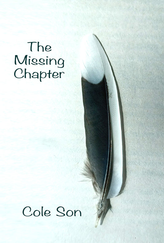 The Missing Chapter - Inspirational Poetry by Cole Son